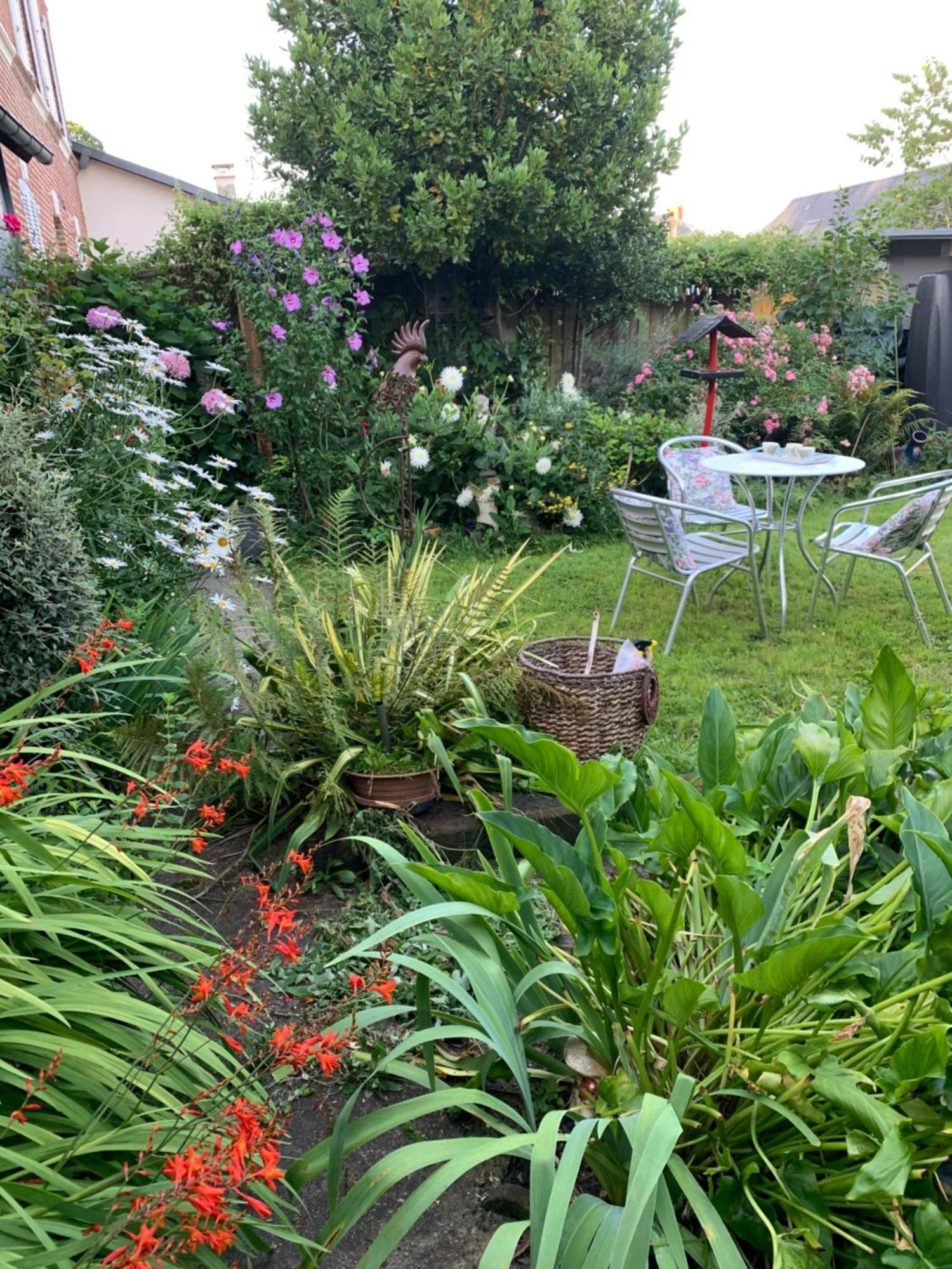 Bed and Breakfast Dom'S Garden Livarot-Pays-d'Auge Exterior foto
